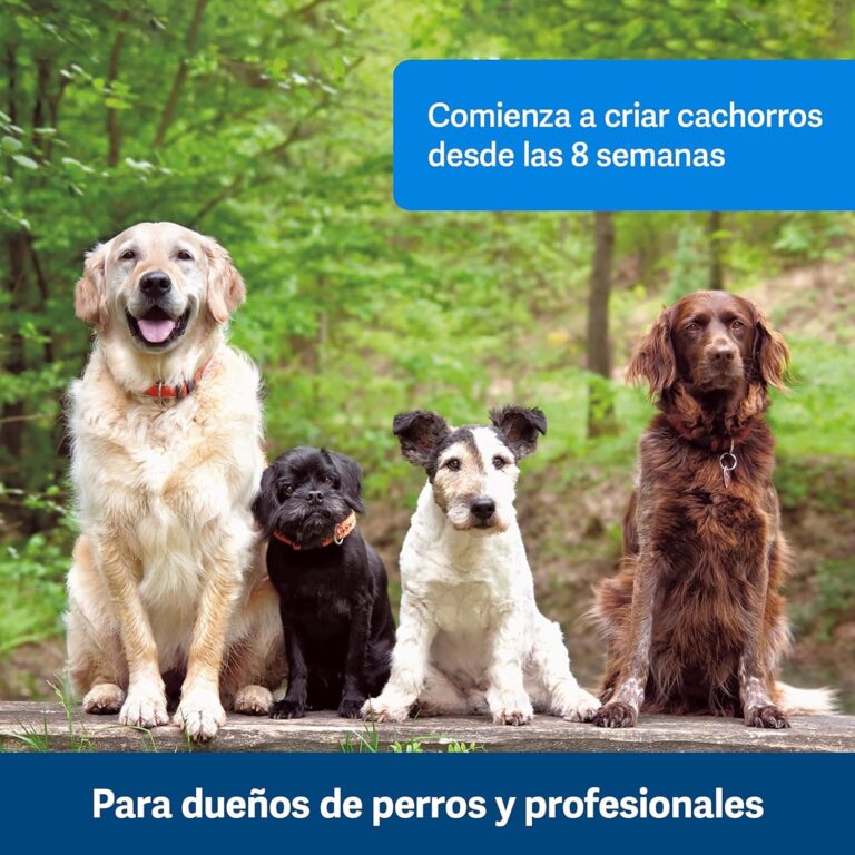 PetSafe Click-R - Mando de Adiestramiento para Perros, Refuerza el Comportamiento Positivo, Entrenamiento con Recompensa