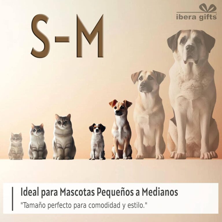 Ibera Gifts - Chapa Perro Grabada en Forma de Pata con Purpurina, Placa Perro Personalizada