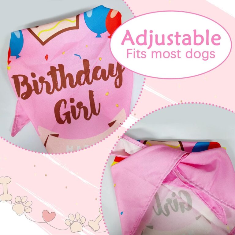 Bandana de cumpleaños para Perro, Bandana para Perro para cumpleaños, triángulo