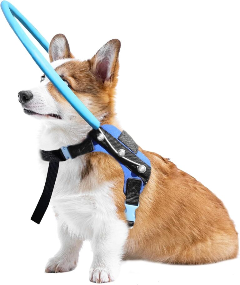LetPetRun Arnés de halo para perro ciego, collar protector para perros ciegos