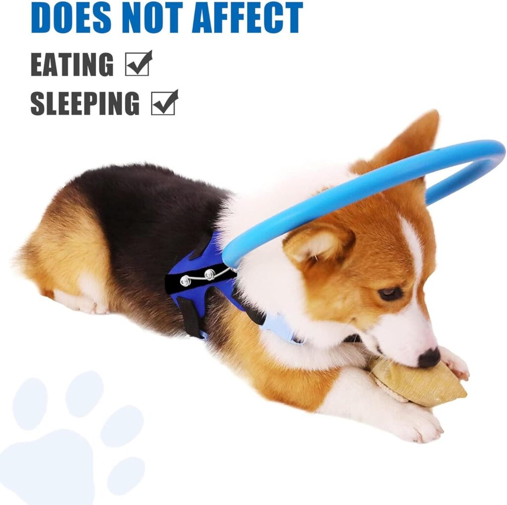 LetPetRun Arnés de halo para perro ciego, collar protector para perros ciegos