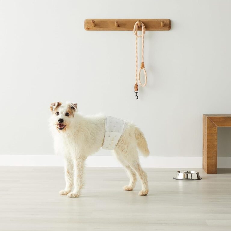 Amazon Basics Pañales Desechables para Perros Macho