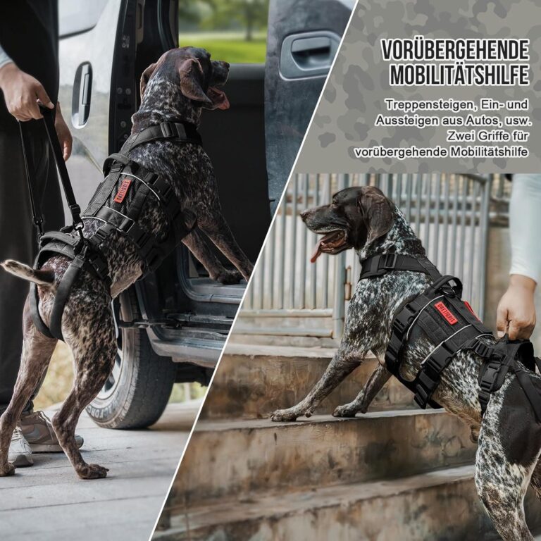 OneTigris Arnés para Perros SKYEWALKER Apoyo Arnés Ajustable con 2 Asas para Apoyo y Rehabilitación Adecuado para Perros Medianos y Grandes Negro M