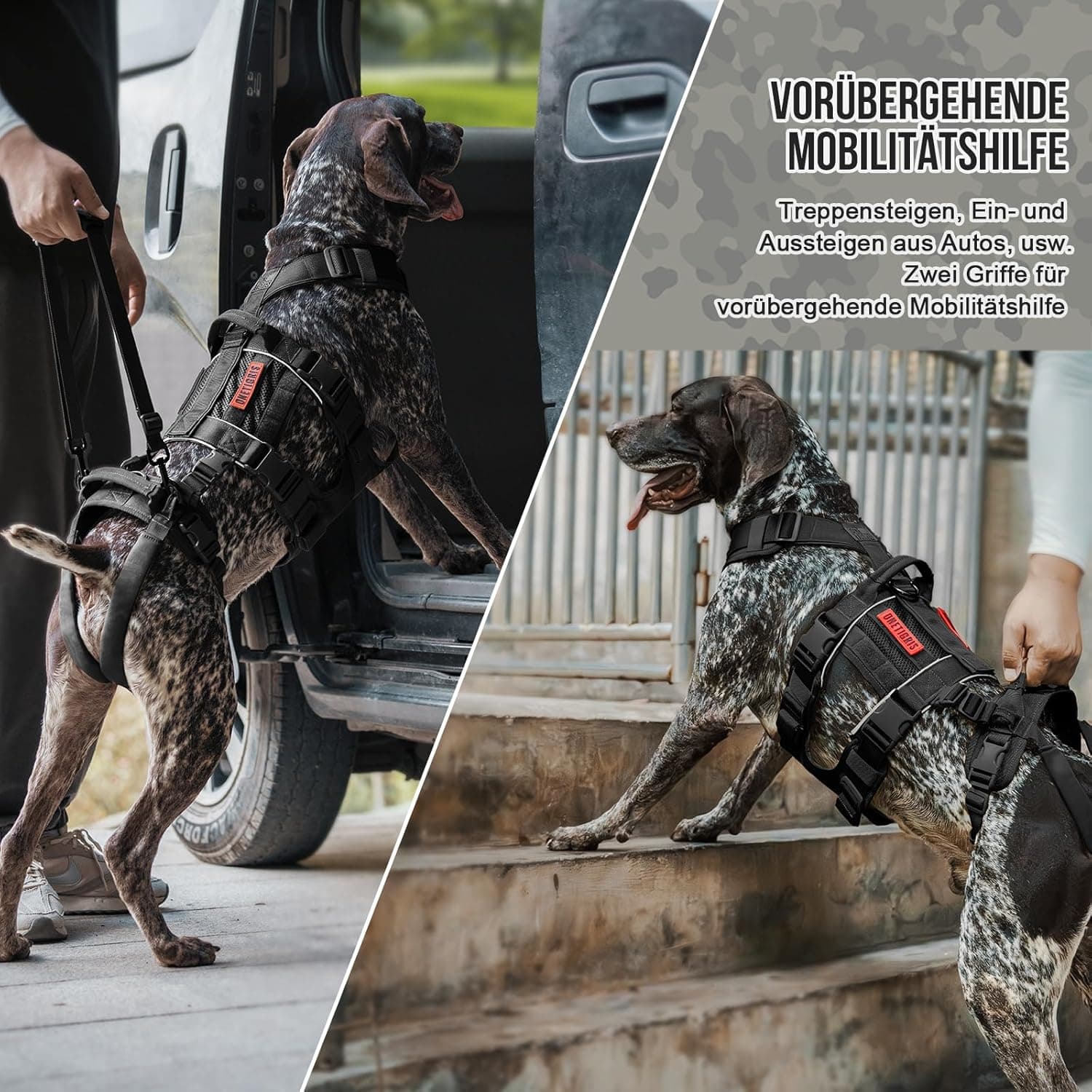 OneTigris Arnés para Perros SKYEWALKER Apoyo Arnés Ajustable con 2 Asas para Apoyo y Rehabilitación Adecuado para Perros Medianos y Grandes Negro M