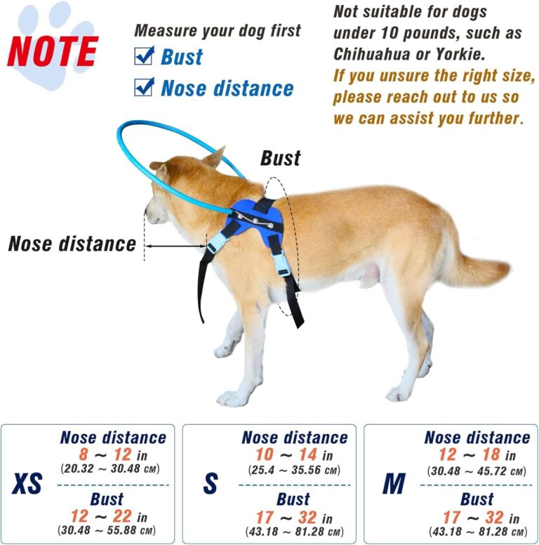 LetPetRun Arnés de halo para perro ciego, collar protector para perros ciegos