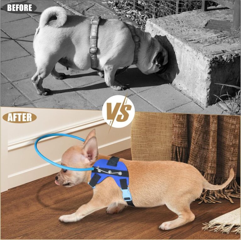 LetPetRun Arnés de halo para perro ciego, collar protector para perros ciegos