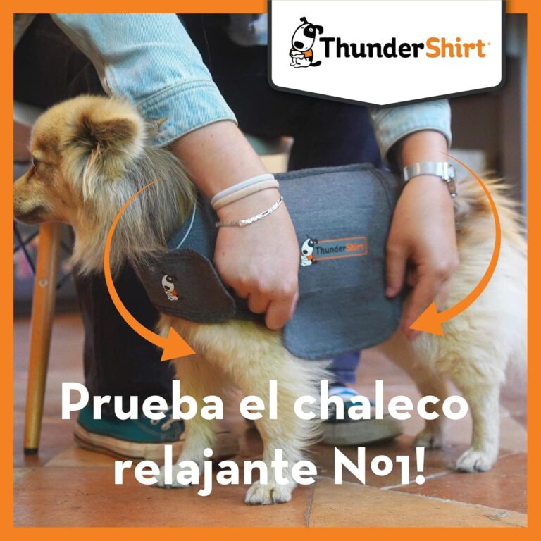 Thundershirt - Chaleco Relajante para Perros - Antiestrés, Ayuda a Reducir la ansiedad, Gris, XL