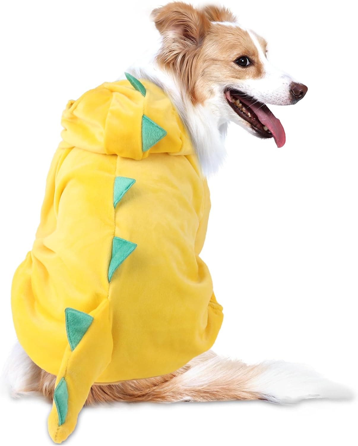 DELIFUR Disfraz de dinosaurio para perro