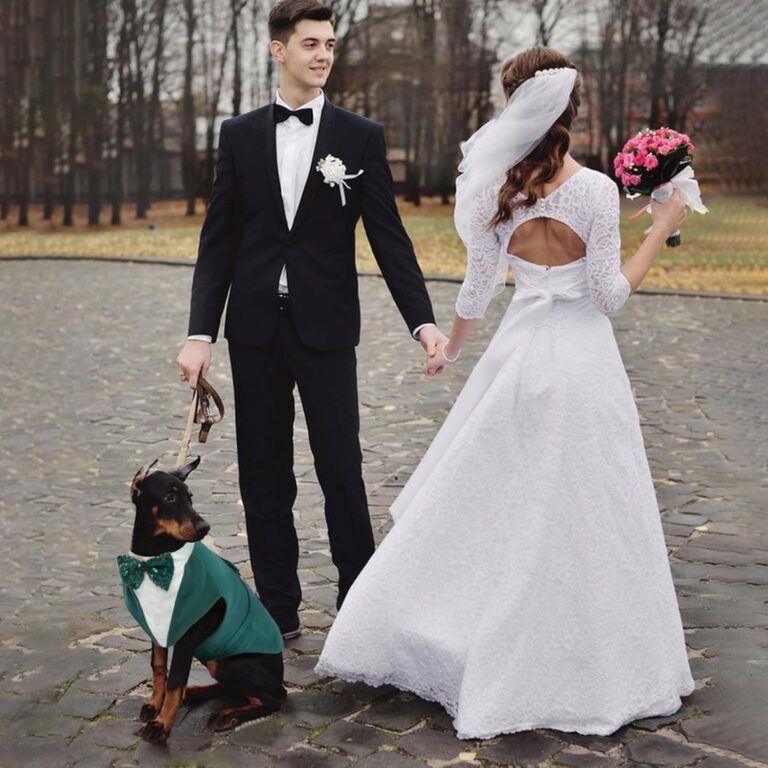 Traje de Esmoquin Formal para Perros