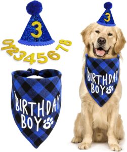 Cobee Juego de gorro de cumpleaños para perro