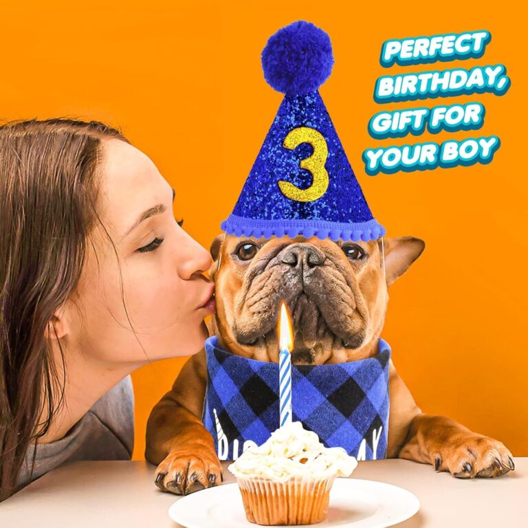 Cobee Juego de gorro de cumpleaños para perro