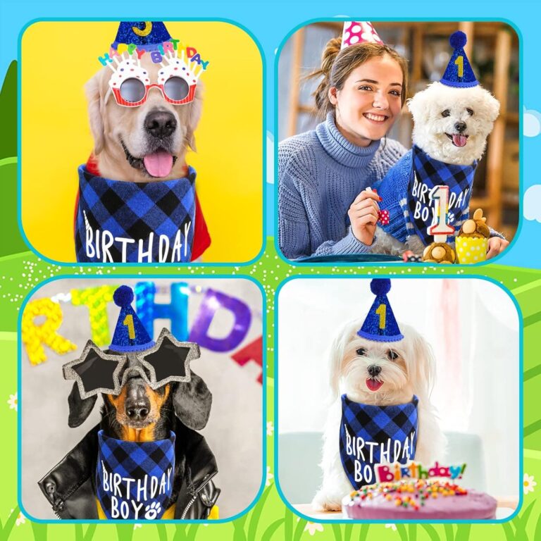 Cobee Juego de gorro de cumpleaños para perro
